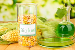 Boston biofuel availability